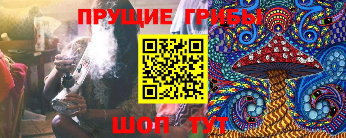 Галлюциногенные грибы Psilocybe  Вход с VPN  Кашира  Галлюциногенные грибы ЛСД 