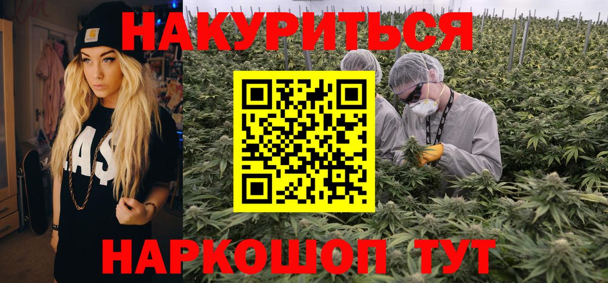 Кашира  Конопля планчик  Вход с VPN  Канабис OG Kush  Марихуана сатива 